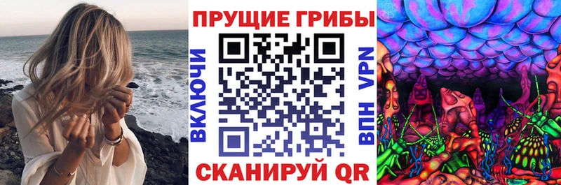 Псилоцибиновые грибы мицелий  Купить  Узловая 